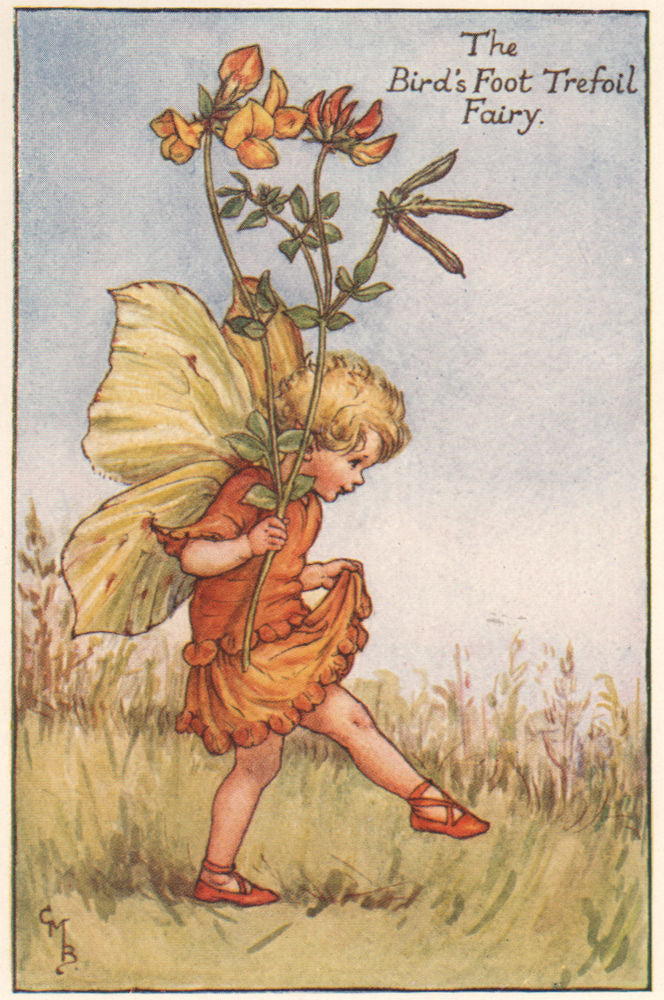 Bird's Foot Trefoil Fairy by Cicely Mary Barker. Summer Flower Fairies c1935